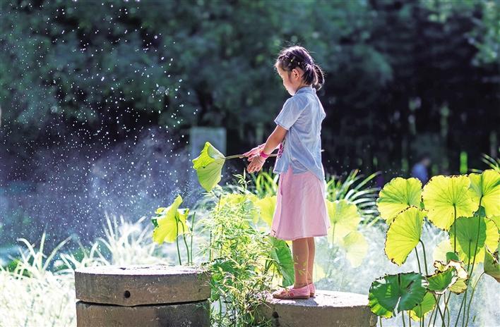 三秦新风貌 ​荷花镜里香
