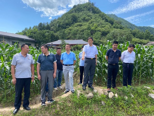 寧陜縣政協(xié)開展農(nóng)業(yè)產(chǎn)業(yè)振興“十百千”園區(qū)建設(shè)專題視察