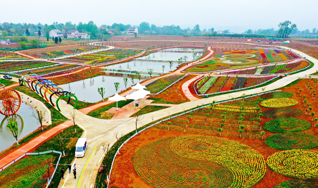 打造产业集群 筑牢增收根基 ——洛南县产业扶贫工作纪实