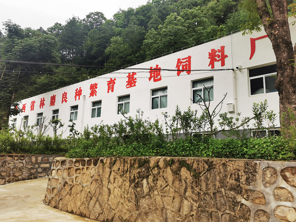 陜西寧東林業(yè)局發(fā)展產(chǎn)業(yè)助力脫貧攻堅