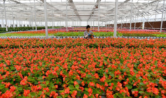 解码杨凌“农科城”