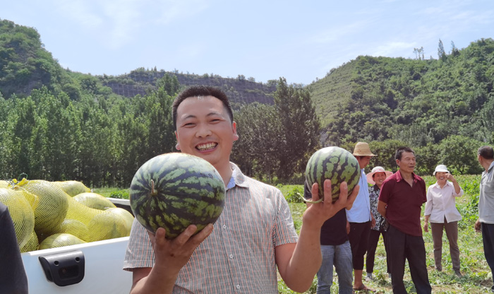 消费扶贫架起群众增收致富桥——商南县开展消费扶贫助力脱贫攻坚小记