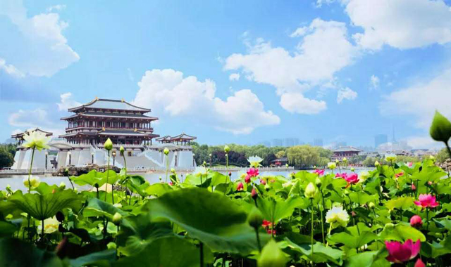 【这里是陕西】西安市：大唐芙蓉园