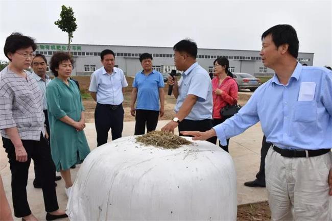 省政协开展“稳定粮食生产”专题调研  稳住农业“基本盘”  守护群众“粮袋子”