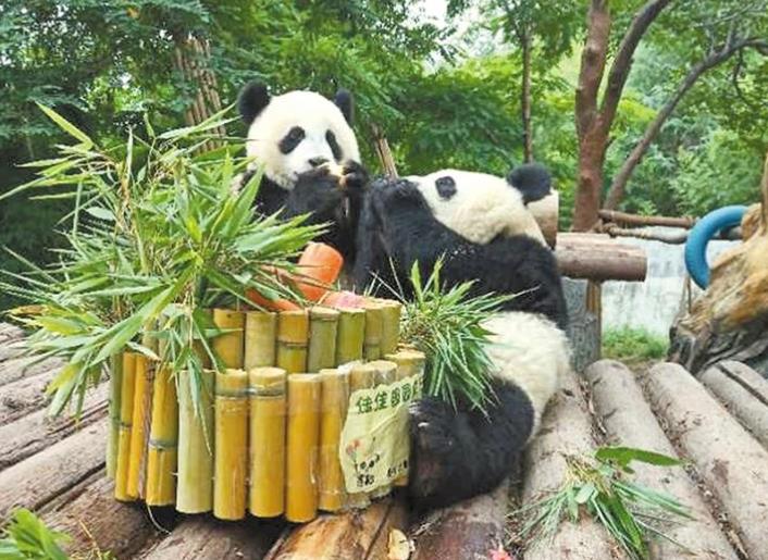 生态修复让秦岭颜值越来越高