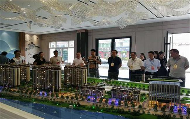 洋縣政協(xié)視察全縣重點項目建設(shè)情況