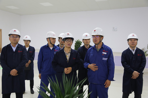 神木市政協(xié)專題視察工業(yè)園區(qū)建設(shè)情況