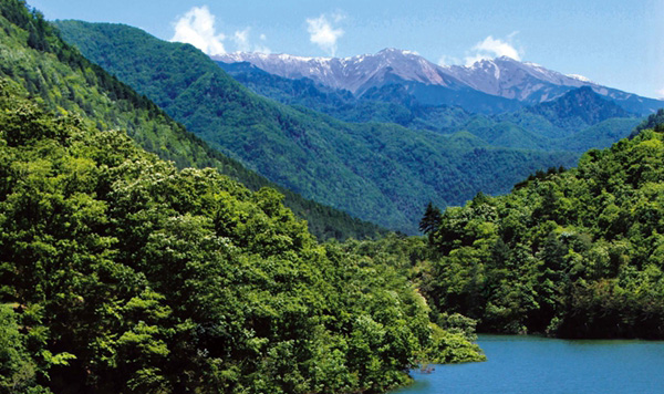 关于秦岭你知道多少？陕西最高处与最低处都在秦岭里