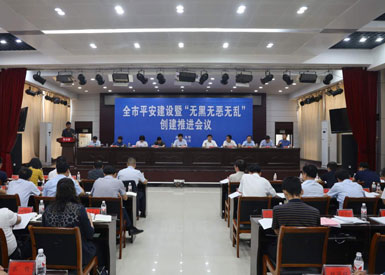 禮泉法院在全市平安建設暨“無黑無惡無亂”創(chuàng)建推進會作交流發(fā)言