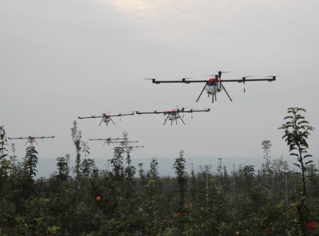 延安“新引力” | 既讓安心農(nóng)村吃苦，也讓名利雙收“吃香”