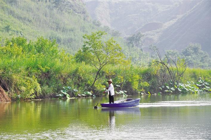 三秦新风貌|扁舟漾碧波 “藕”遇鱼和虾
