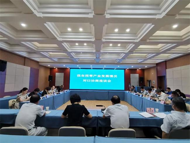 政協(xié)快訊| 務(wù)實(shí)履職，積極作為，奮力推動(dòng)各地高質(zhì)量發(fā)展