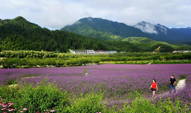 秦巴山区告别绝对贫困