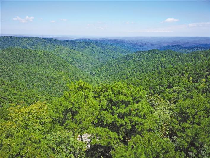 因绿而美 因绿而富