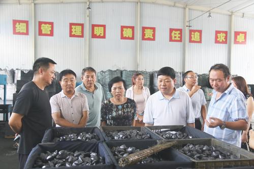 山陽縣政協(xié)組織委員開展“走進(jìn)企業(yè)、助力發(fā)展”主題協(xié)商活動
