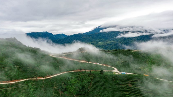 发现陕南丨雨后初霁 勉县田园风光美如画