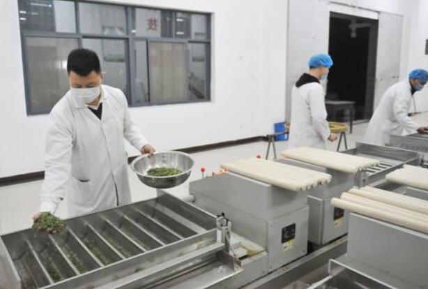 閆超：青春在茶產(chǎn)業(yè)中飛揚(yáng)