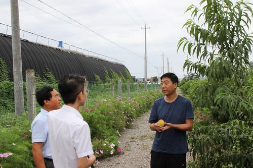 近水親山 幸福為先 ——西安市政協(xié)張建華的韋兆情