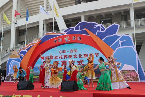 定邊：蕎麥花開迎客來