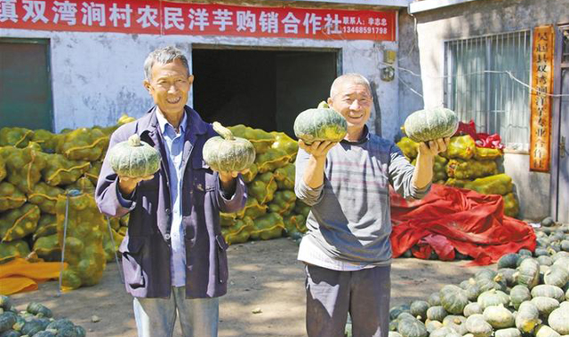 特色种植富农家
