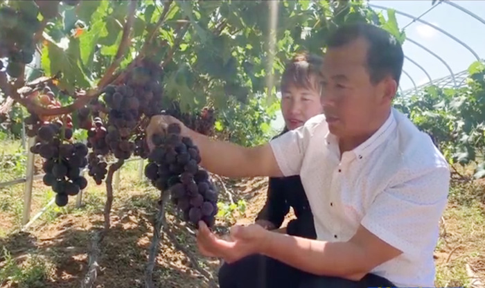 榆阳区孟家湾乡：强旅游兴产业 美乡村聚人心