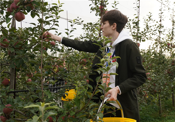 延安市洛川縣委書記王明智：小蘋果奮斗出的幸福大生活