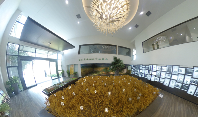 【西部开发新脉动】回归田园不是梦 “向往的生活”这样打造