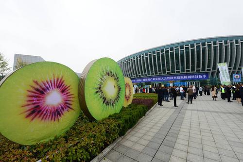 第九屆中國(guó)（國(guó)際）獼猴桃產(chǎn)業(yè)發(fā)展大會(huì)開(kāi)幕 600行業(yè)精英共商發(fā)展大計(jì)
