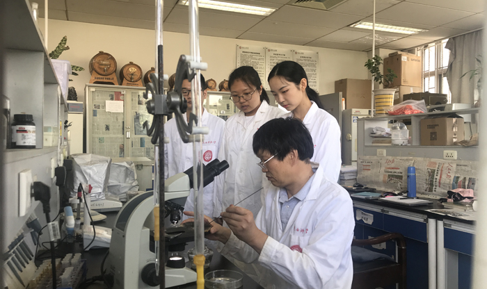 张宝善：科技让农产品“多点开花”