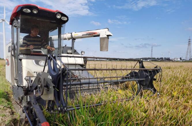 新纪录！袁隆平团队又干了件大事！