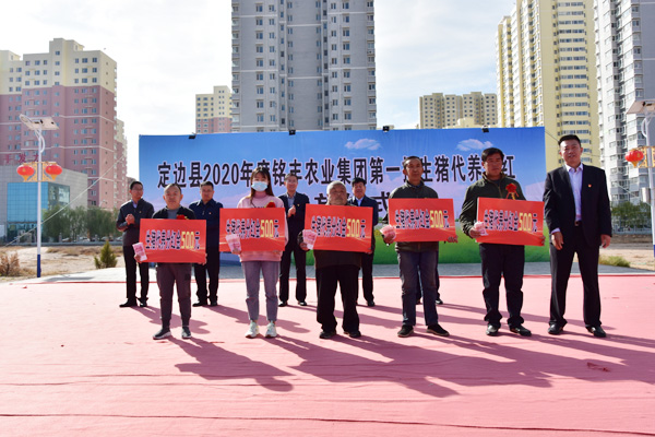定邊縣舉行生豬代養(yǎng)分紅發(fā)放儀式