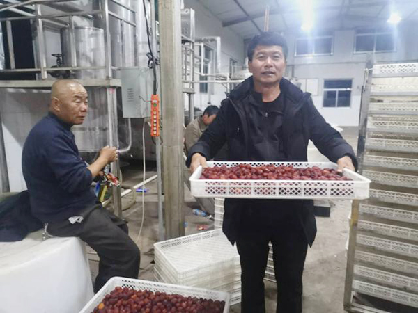 府谷磧塄農(nóng)業(yè)園區(qū)：“消費(fèi)扶貧”奏響脫貧攻堅主旋律