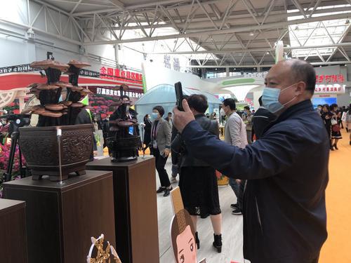 關(guān)注農(nóng)高會(huì)|盆栽“仙草 ” 致富有“鮮”招