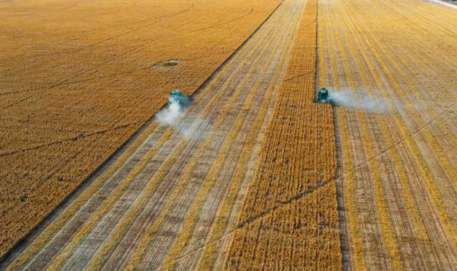 【视觉陕西】榆林:塞下秋来风景异 层林尽染瞰丰年