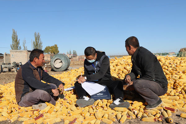 定邊縣：合力做好第七次全國人口普查工作