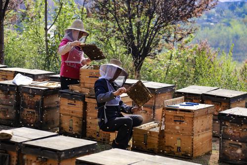 略陽累計脫貧58502人 年底前剩余貧困人口將全部清零