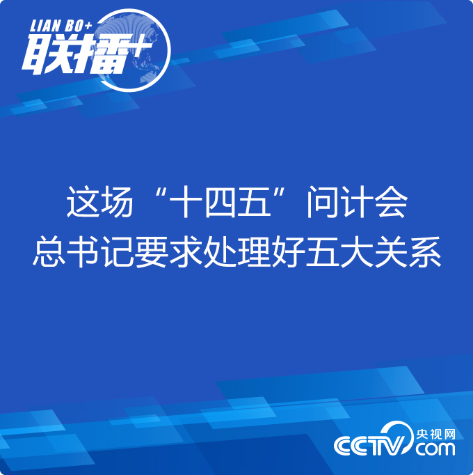 聯(lián)播+丨這場“十四五”問計會 總書記要求處理好五大關(guān)系