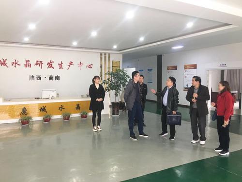 商南縣政協(xié)開展支持民營經(jīng)濟(jì)高質(zhì)量發(fā)展協(xié)商成果轉(zhuǎn)化落實(shí)情況專題視察活動
