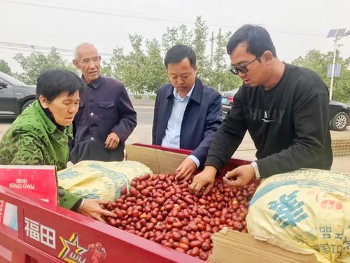 吳堡：財(cái)政獎(jiǎng)補(bǔ)惠棗農(nóng) 小康路上快步走