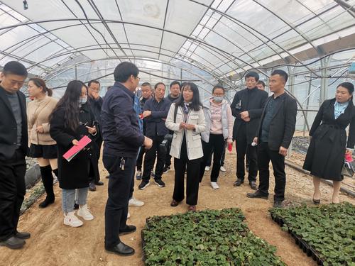 渭南市蒲城縣： 分享“致富經(jīng)”共同“奔小康”