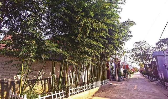 一方眉坞乡土，几多文化记忆