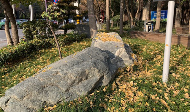 落叶缓扫 西安新纪元公园和相邻的高新二路秋意浓