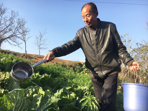 洛南：自來水澆開幸?；?/> </a> </div>
                <div   id=