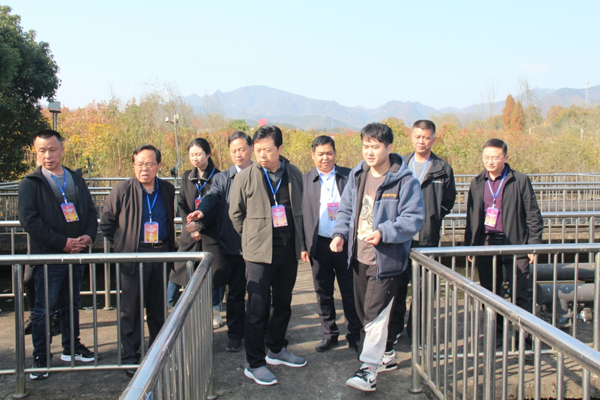 寧強縣政協(xié)視察安全飲水和水源地保護工作