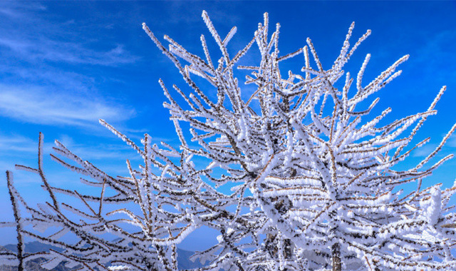 冰雪童话！秦岭太白山雪后绝美雾凇