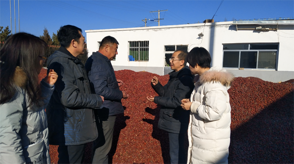 陜西府谷：第二批省級(jí)農(nóng)業(yè)專家服務(wù)站成立