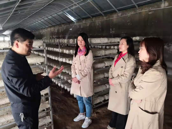 佳縣巾幗脫貧示范基地引領(lǐng)婦女走上致富快車道