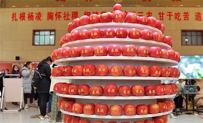 10000個(gè)蘋果再送師生 第五屆暢享園藝之“蘋果文化節(jié)”開(kāi)幕