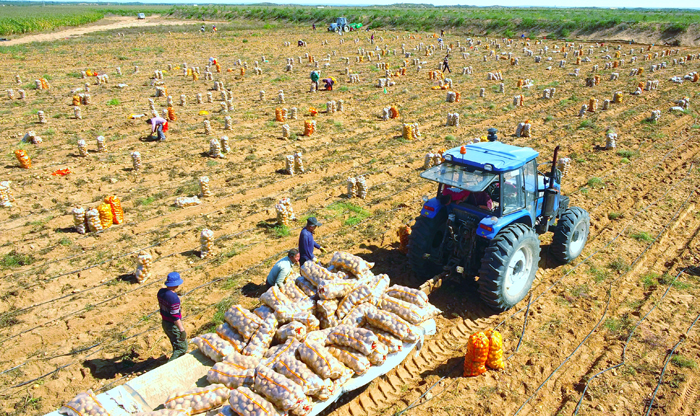 陕西神木市：消费扶贫再发力 脱贫攻坚后劲足