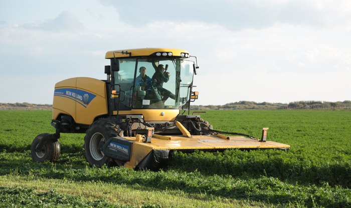 榆阳：生态扶贫增绿富民“双丰收”